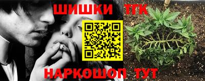 гидропоника Моздок