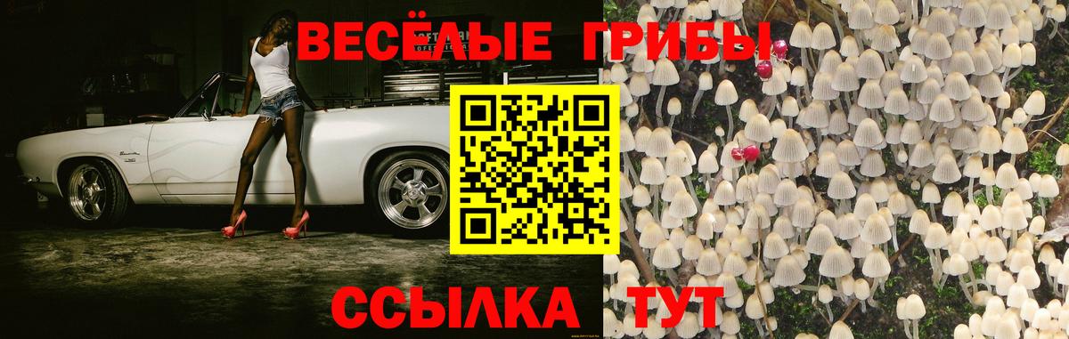 Псилоцибиновые грибы прущие грибы  Вход с VPN  Галлюциногенные грибы мухоморы  Гудермес 